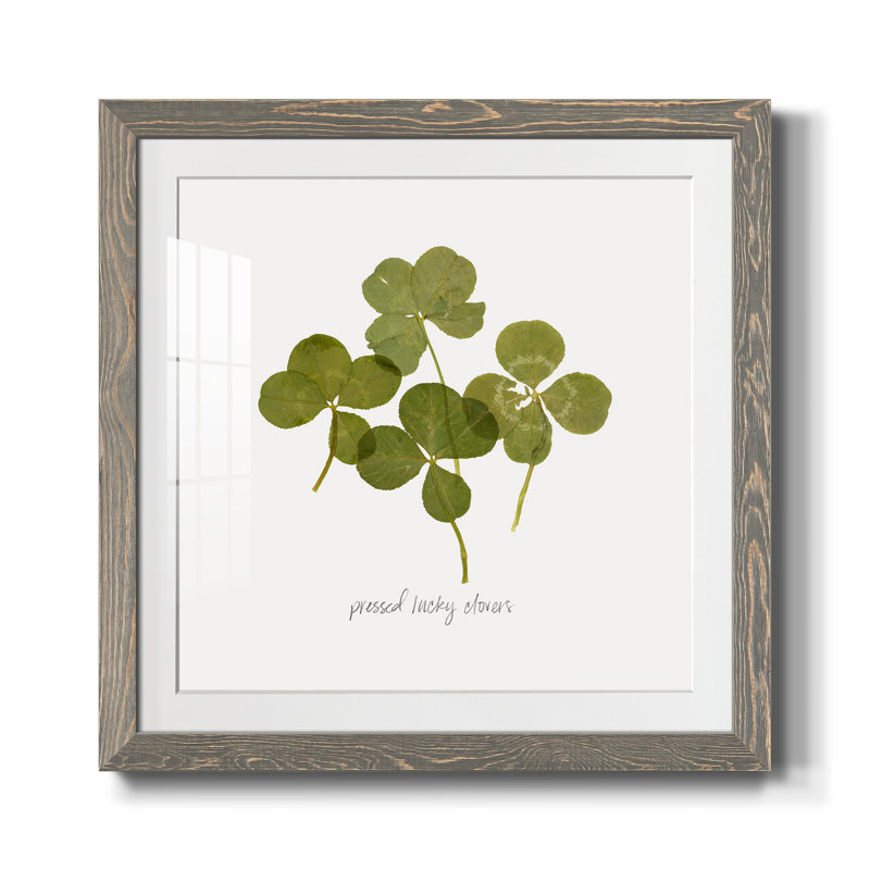 " Pressed Clover I ", 35.5" H x 35.5" W x 1.5" D, Gray Framed Paper, White