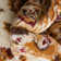 Greisy Moroccan Indoor Rug