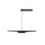 Luminaire suspendu 2 lumières noir avec intérieur doré