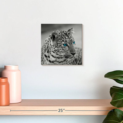 Crowle Jaguar Eye Pop