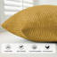 Striped Crushed Velvet Cushion Cover (Set Of 2) -2011448002
