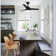Vaczon 42" 3 - Blade Modern Ceiling Fan with Light Kit and Pull Chain