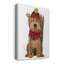 Toile tendue Goldendoodle-1149701991