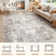 Modern Abstract Area Rug Non Slip Machine Washable Rugs Soft Low Pile Ultra Thin Floor Mat for Living Room, Bedroom