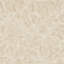 Thackeray Wallpaper-50888902