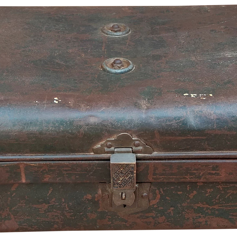 Agnant Handmade Decorative Trunk