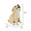 Chiot Labrador jaune