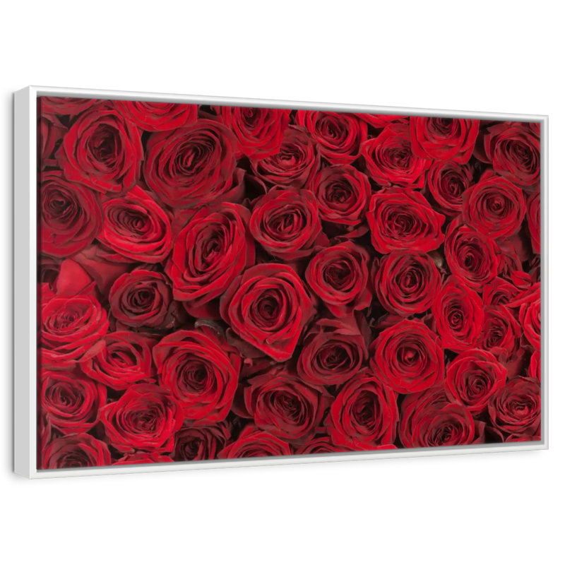 Roses rouges d'été, 25 po x 17 po, Cadre flottant blanc