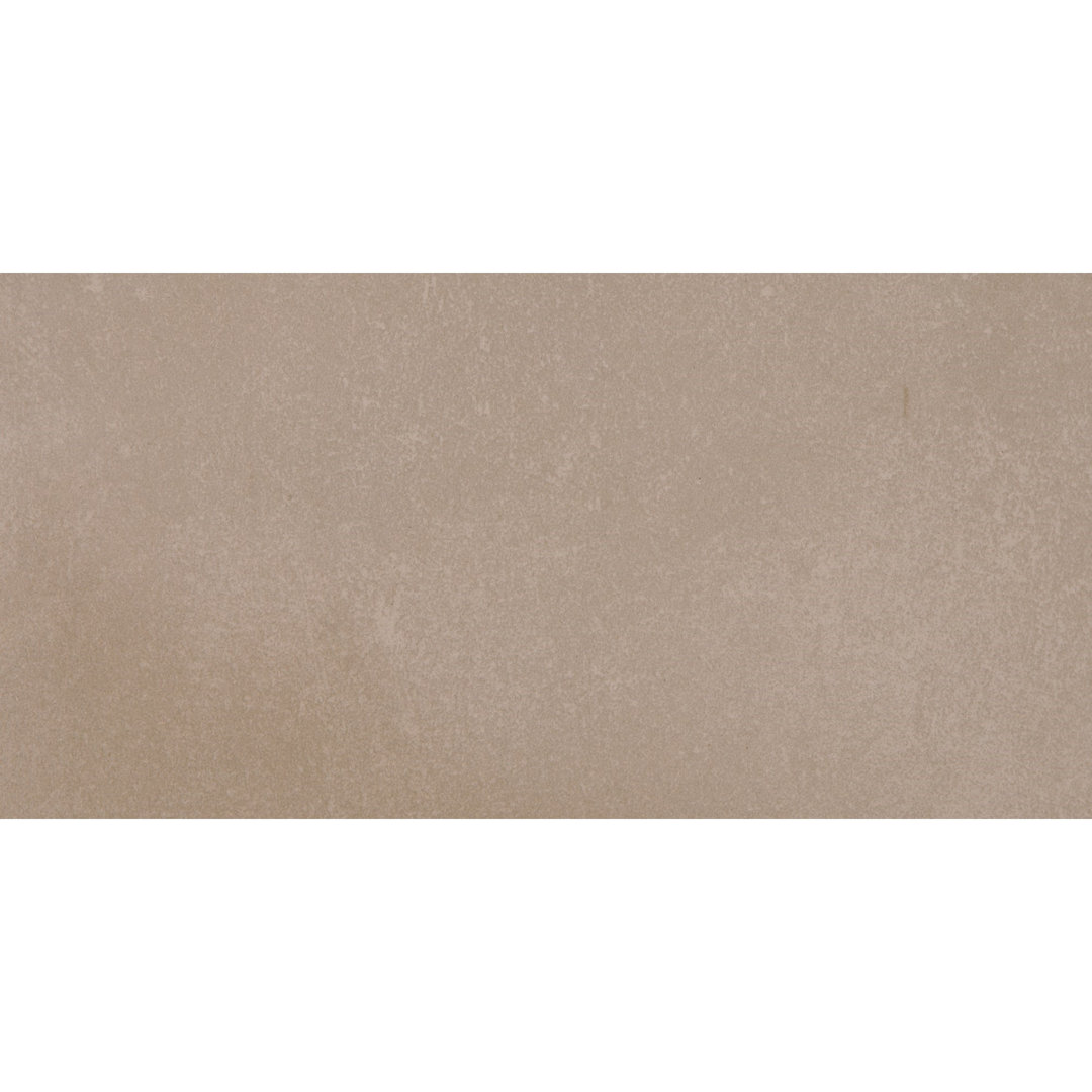 Literary License 12'' W x 24'' L Porcelain Concrete Look Singular Tile PIXL 