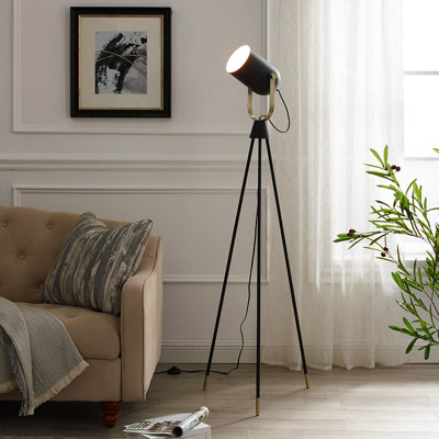 Royse 61'' Tripod Floor Lamp