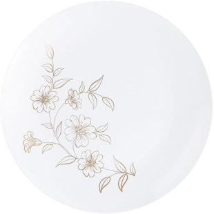 Assiette à dîner jetable en plastique