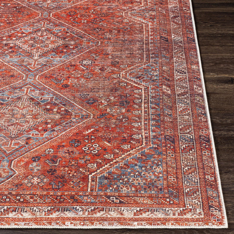 Hemmer Machine Washable Indoor Area Rug, Rectangle 8'10" x 12'