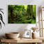 Jungle Ferns Forest-583994969-583994970