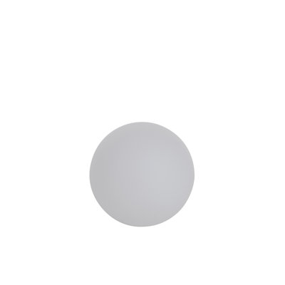 Globe Lamp