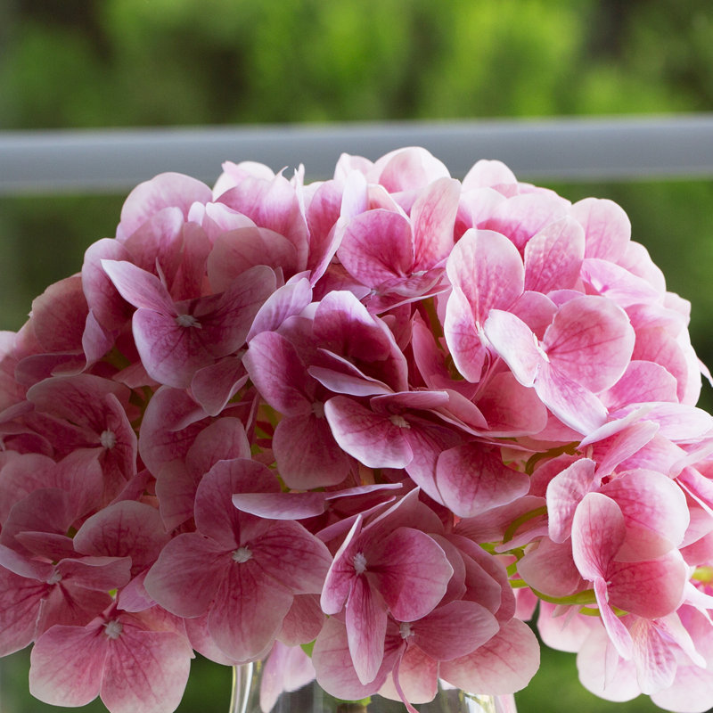 Arrangement d'hortensias dans un vase, Rose clair