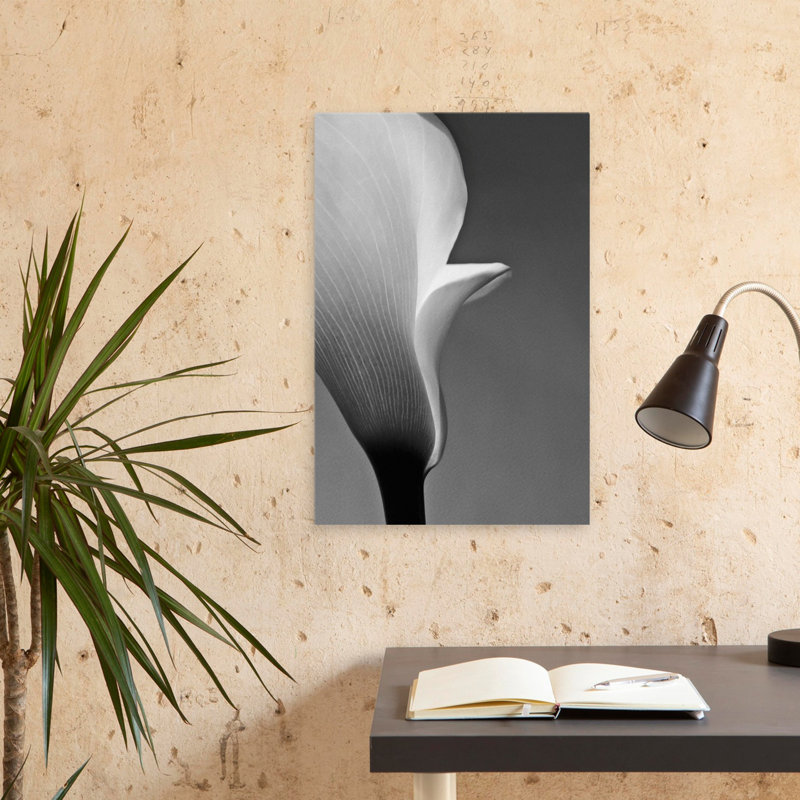 Calla n ° 5 - art floral et nature morte, H 24 po x l 16 po