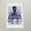 « blue octopus 3 », reproduction d’art encadrée-1529025553