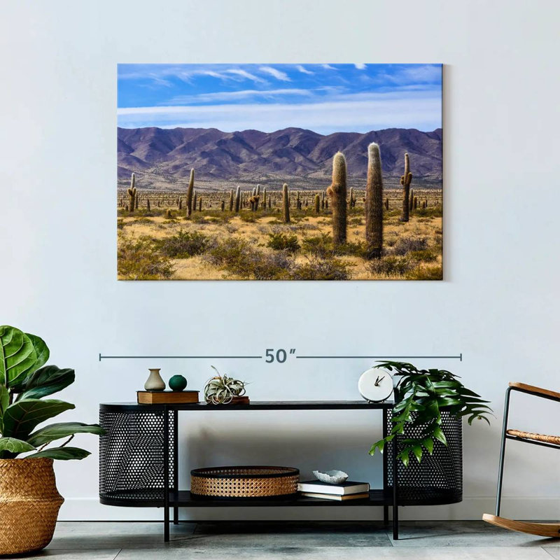 Harnek Los Cardones Cactus