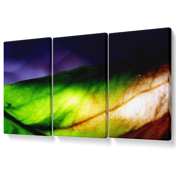 Ebern Designs Vibrant Green Leaf Light - 3 Piece Wrapped Canvas Print ...