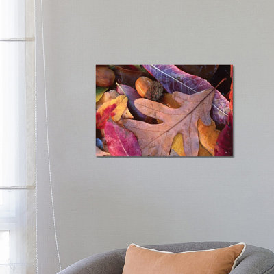 Fall-Colored Oak, Cherry And Sumac Leaves On Ground With Acorns by Tim Fitzharris - Wrapped Canvas Print
