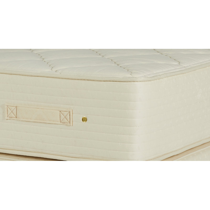 Premier Natural 11.5'' Plush Latex Mattress and Box Spring Set, Twin XL