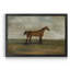 A Bay Hunter - Reproduction d'art sur toile encadrée-380486454-380486460