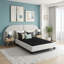 Base de lit tapissier Modern Contempo-131574158-131574160