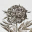 Cabot Botanical Fabric-49396796