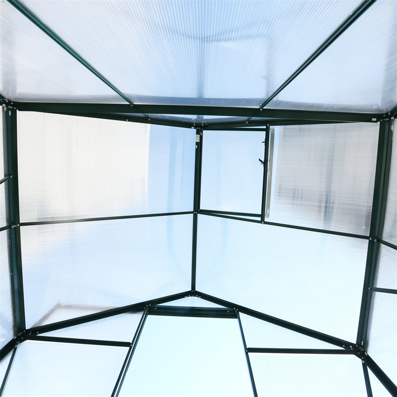 6.3'*4.2'*7' Polycarbonate Greenhouse, 96.8" H x 75.2" W x 51.2" D, Green