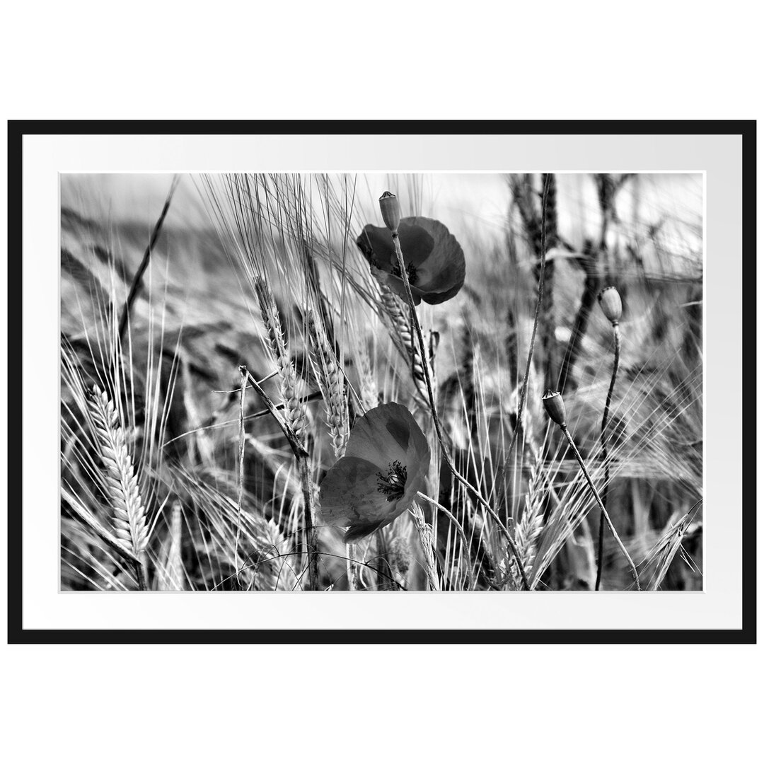 Gerahmtes Poster Mohnblumen im Getreidefeld