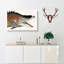 Great Hog-Fish by Mark Catesby - Wrapped Canvas-55317399