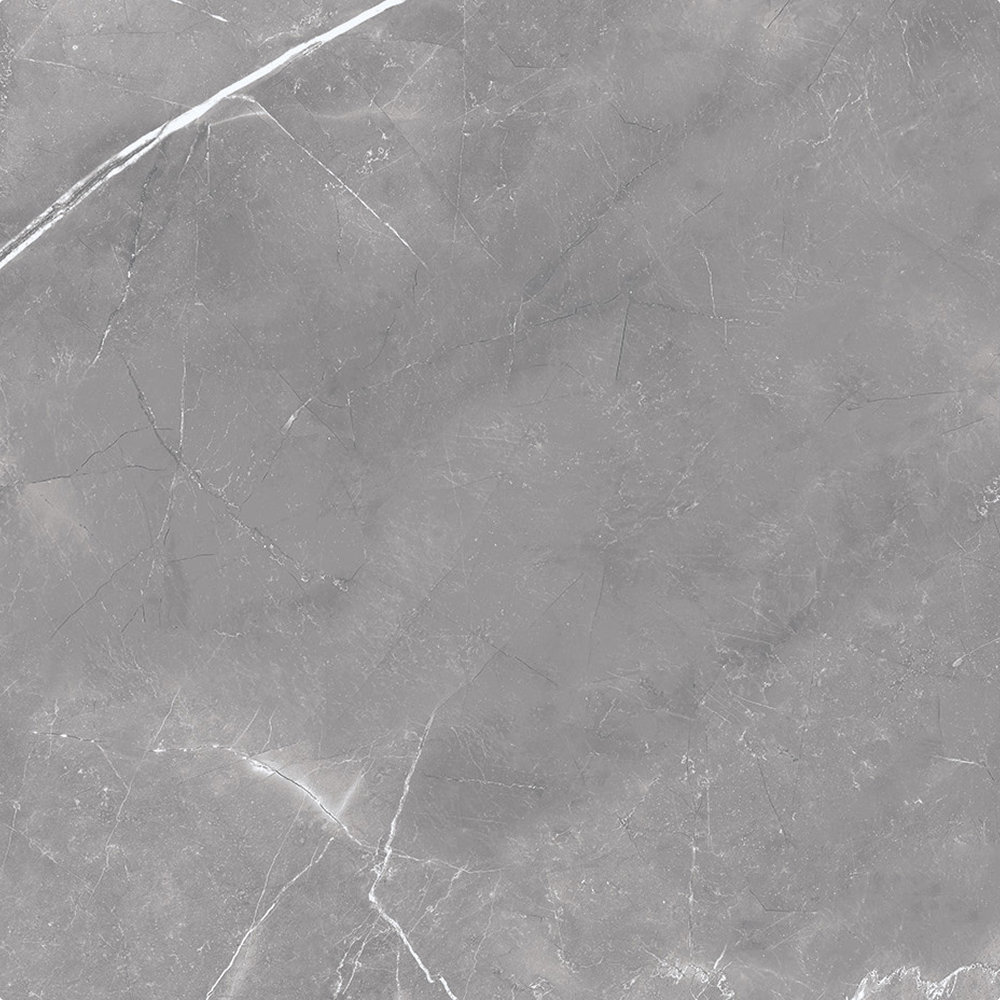 Magi 12" x 24" Polished, Gris