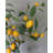 Artificial Fruit Lemon Branch 37.5"