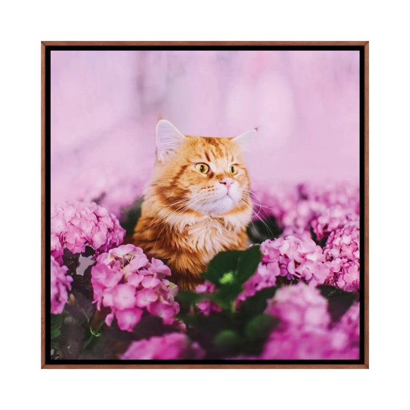 « What » par Hobopeeba-reproduction de photo, Toile avec cadre en bois brun classique, Pas de tapis