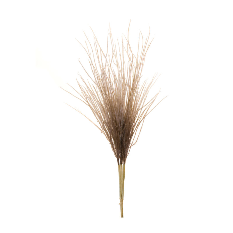 Grass Plume Bundle (Set of 2), Beige