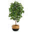 Ficus artificiel 48 po en pot-1045779108