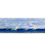 Tapis de campagne Country & Floral-69557159