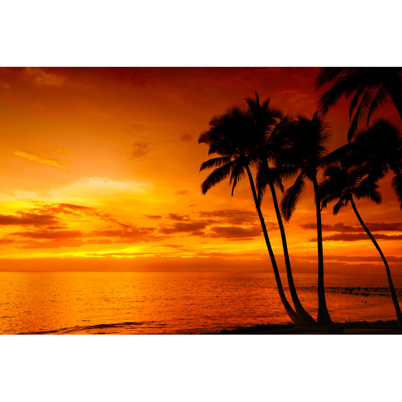 «Tropical Beach Sunset» par Mariuszblach - photographie sur toile tendue, L 36 po x H 24 po