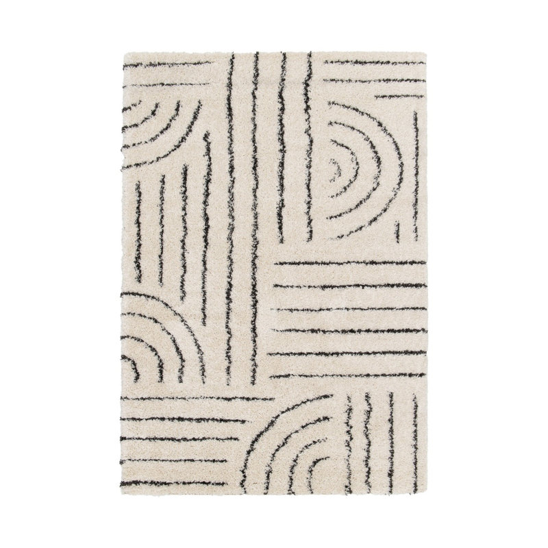 Takehito Oriental Area Rug, Rectangle 160 x 230cm