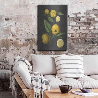 "Citron citron" par Lettré et doublé