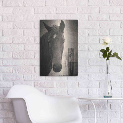 Luxe Metal Art 'Heres Looking At You I' By Debra V " Heres Looking At You I " by Debra Van Swearingen