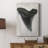 Watercolor Sharks Tooth I -Gallery Wrapped Cavas-1616553374