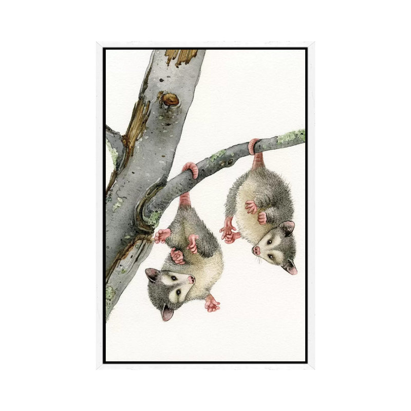Playful Possums 1 Piece Painting on Canvas, 66.04cm H x 45.72cm W x 3.81cm D, White Framed