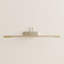 1 -Light Hardwired LED Wall Mounted Picture Light-11000137