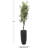 57'' Faux Sisal Tree in Pot