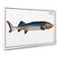 Great Sturgeon Fish by M.E. Bloch - Wrapped Canvas-55360462