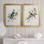 «Spring Song Grey Jay», ensemble de 2 reproductions sur toiles encadrées-61455532-61455530