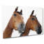 Two Chestnut Brown Horses In Abstract - Wrapped Canvas-55301649