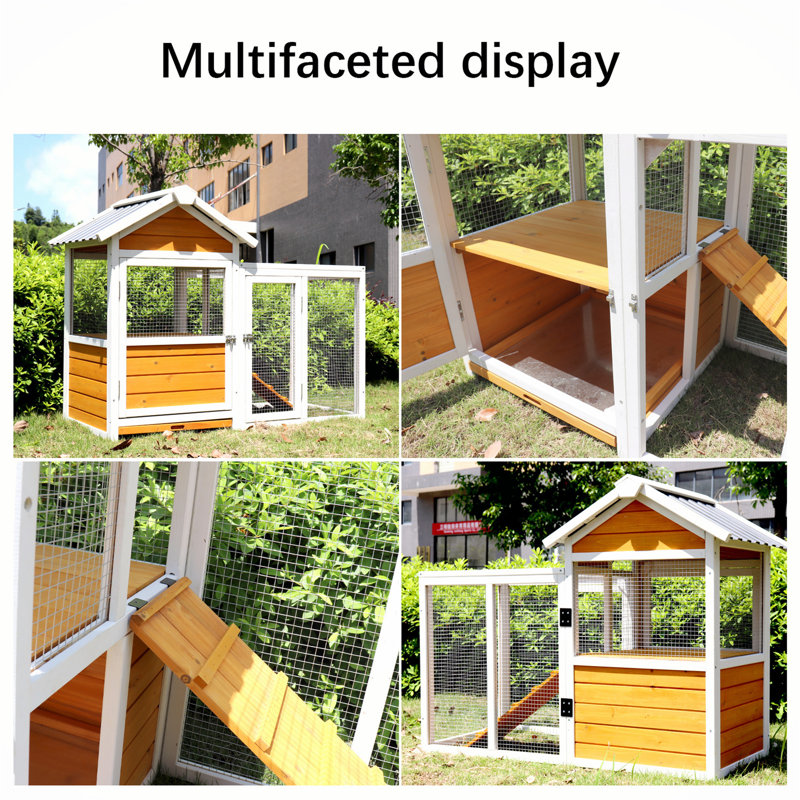Grand poulailler d'extérieur 80 po Raisingh, 36.7" H x 48.1" W x 24.5" D