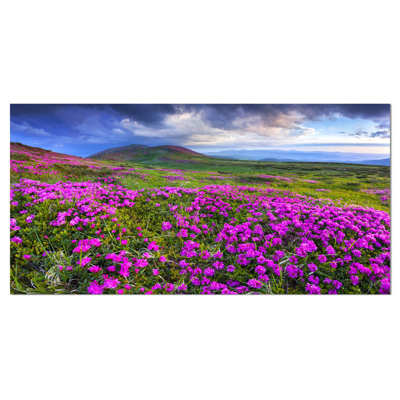 «Rhododendron Flowers in Mountains», impression sur toile tendue, H 20 po x l 40 po x P 1po
